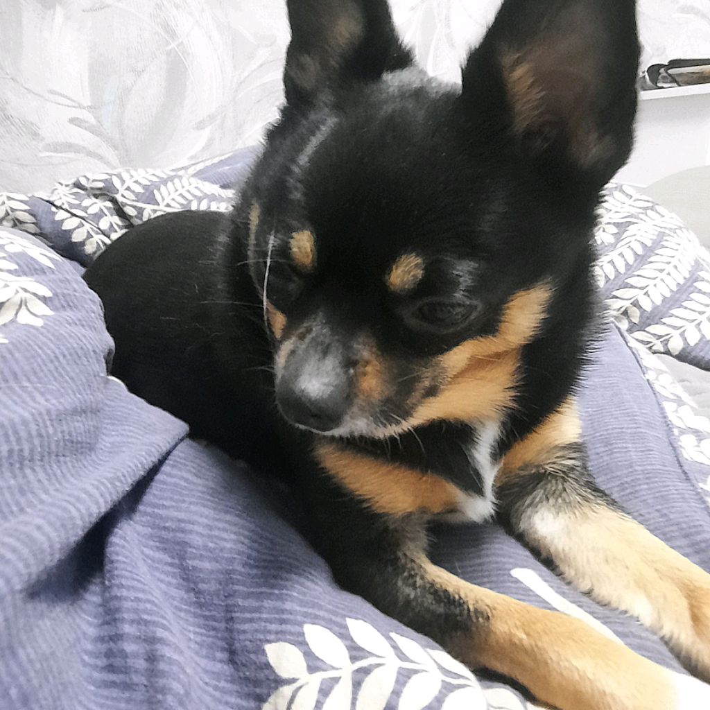 Иконка канала Буся&Игры