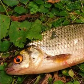 Иконка канала Lubart TV