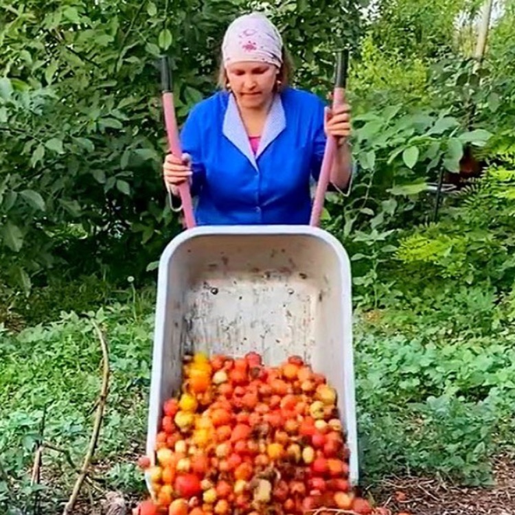 Иконка канала Ленкин Огород