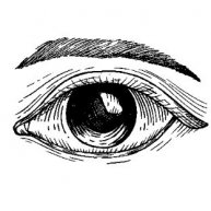 Иконка канала Архитектор смысла