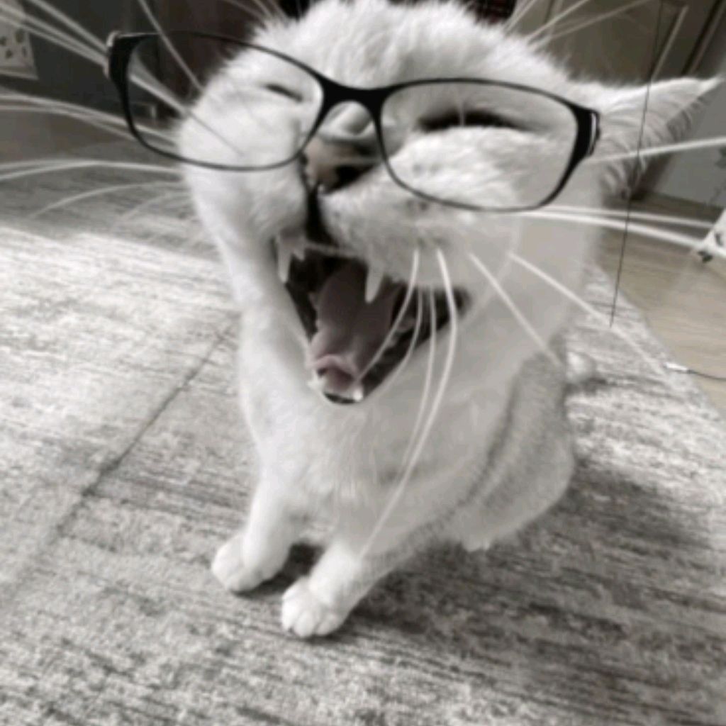 Иконка канала Вероника Гусева