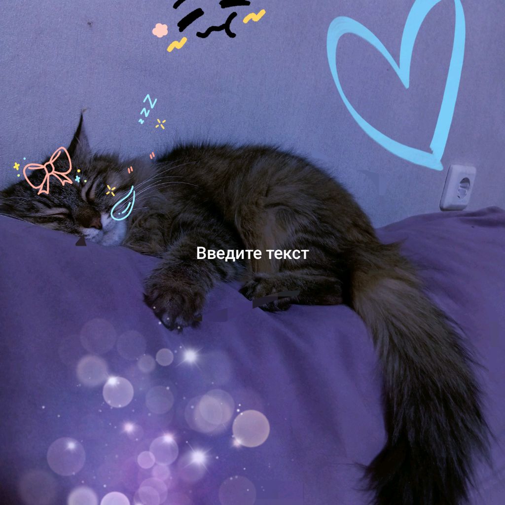 Аватар автора