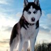 Иконка канала kowtopَََََ 67