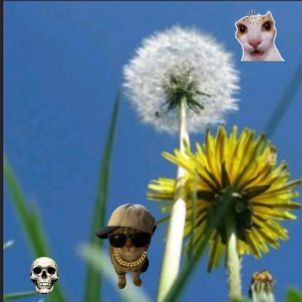 Аватар автора