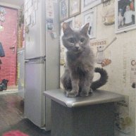 Иконка канала Dmитриy