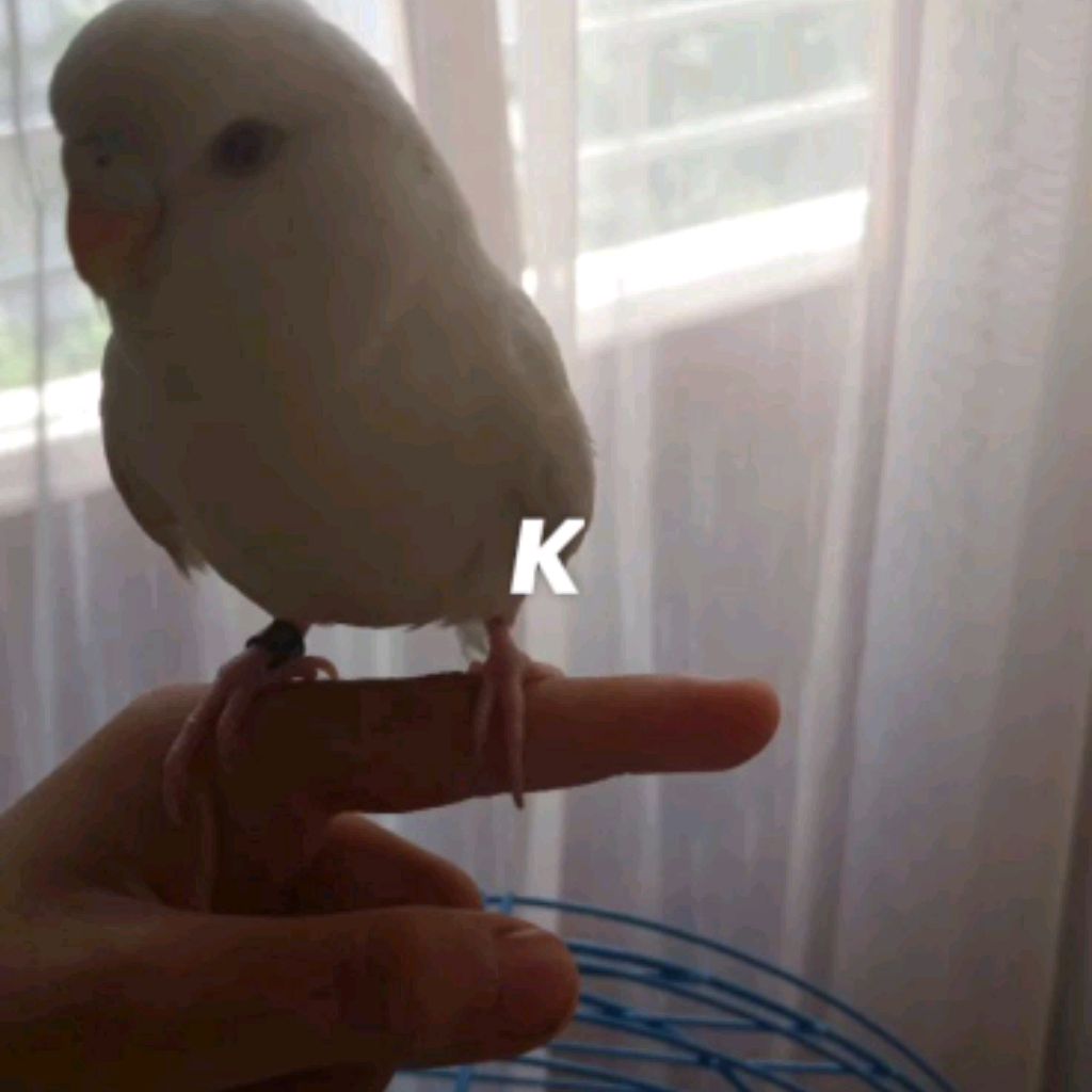 Иконка канала smithaustin