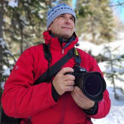 Аватар автора