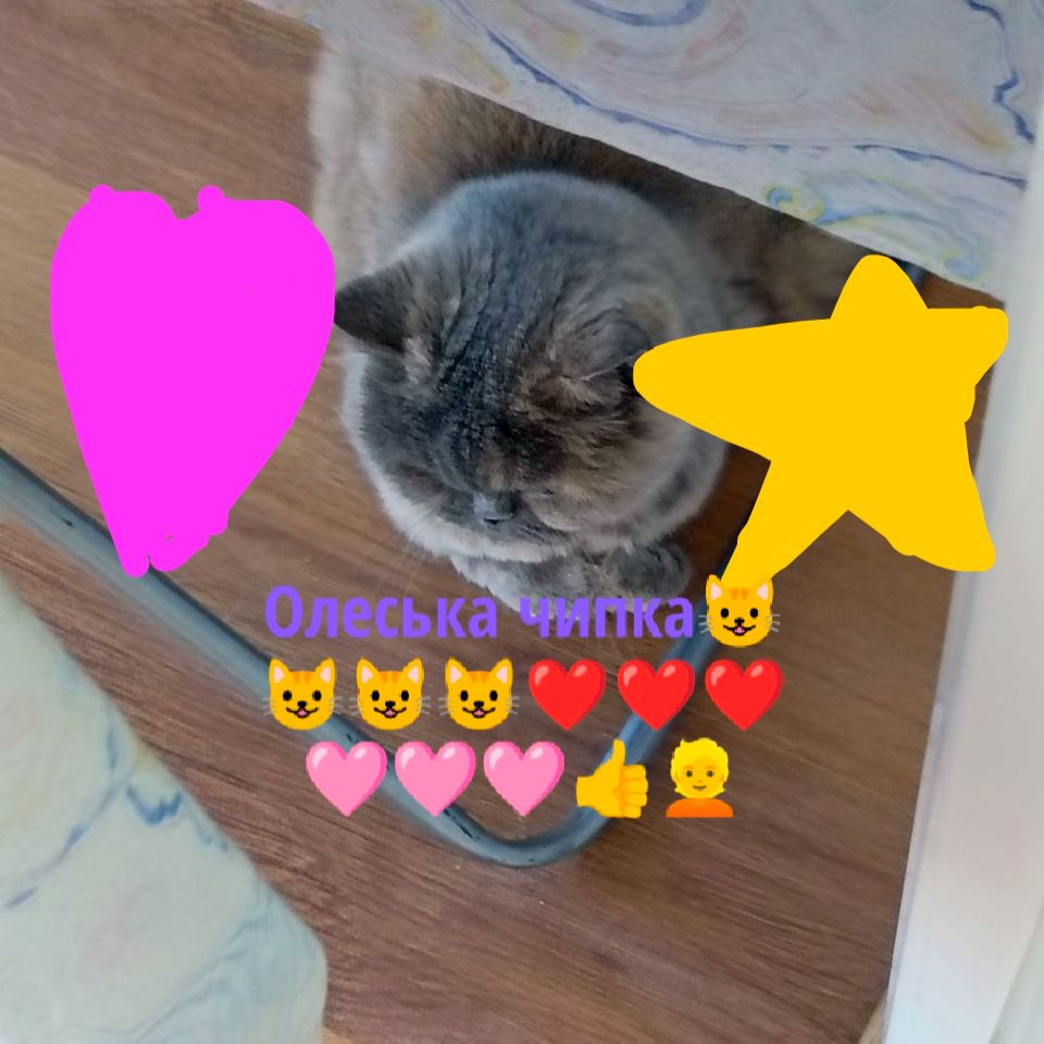 Аватар автора