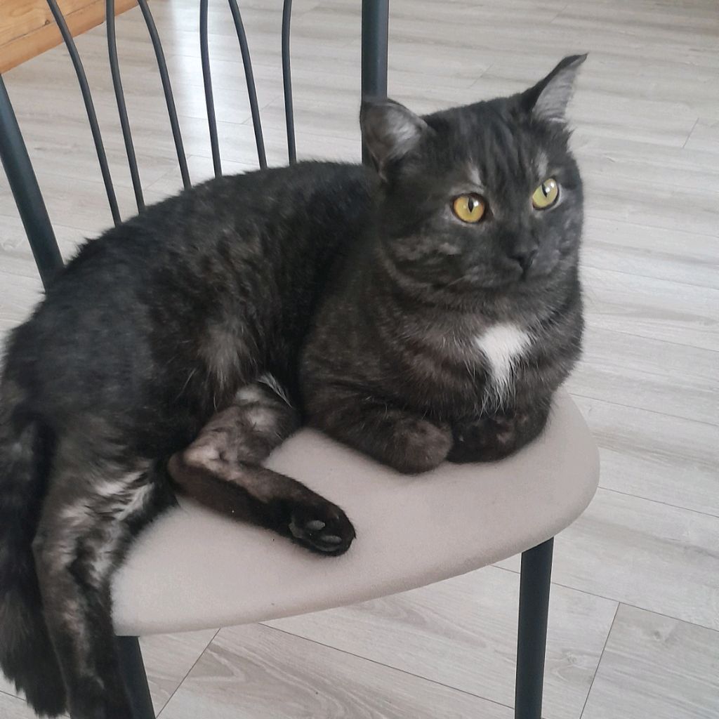 Иконка канала Фидюш