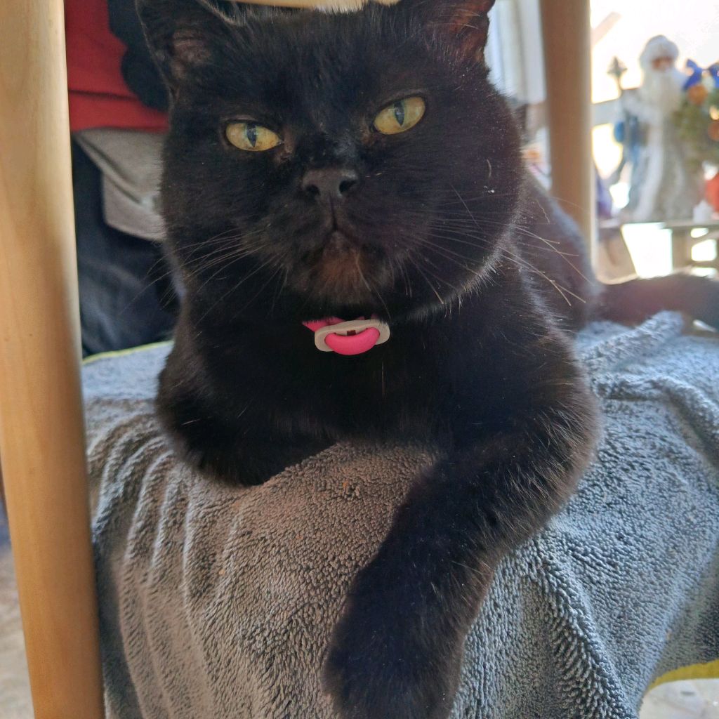 Иконка канала channel24426477