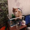 Иконка канала Я котик 😊