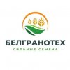 Иконка канала Белгранотех - сильные семена