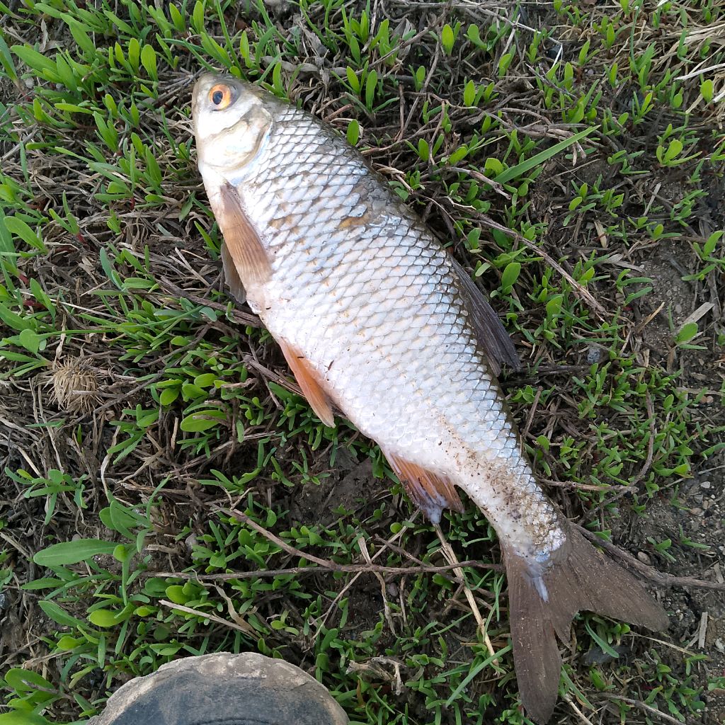 Иконка канала Рыбалка