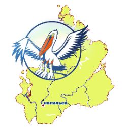 Иконка канала Учитель года_Норильск