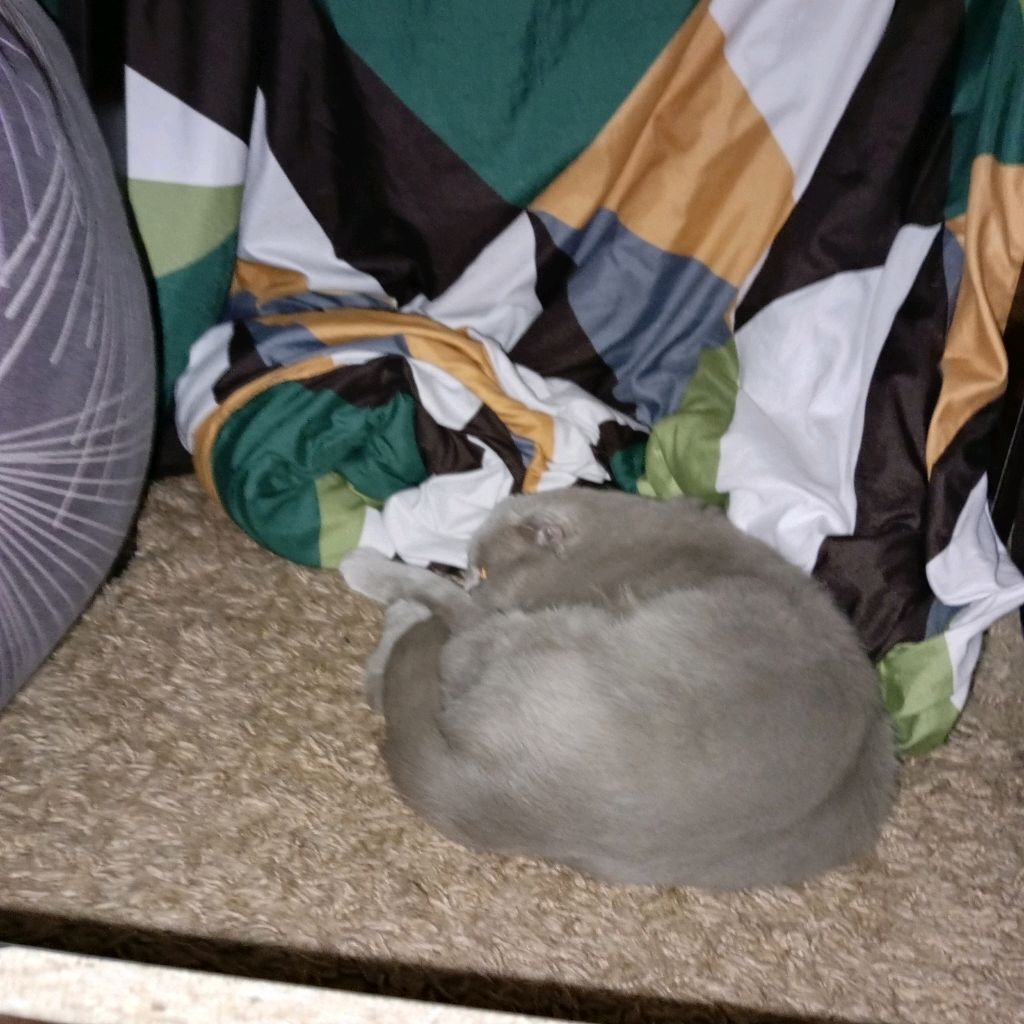 Иконка канала Чай Чёрный