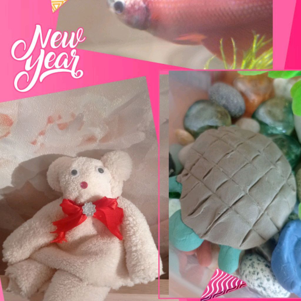 Иконка канала Мои питомцы🐠🐢🐱