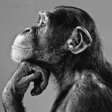 Иконка канала Doctor You