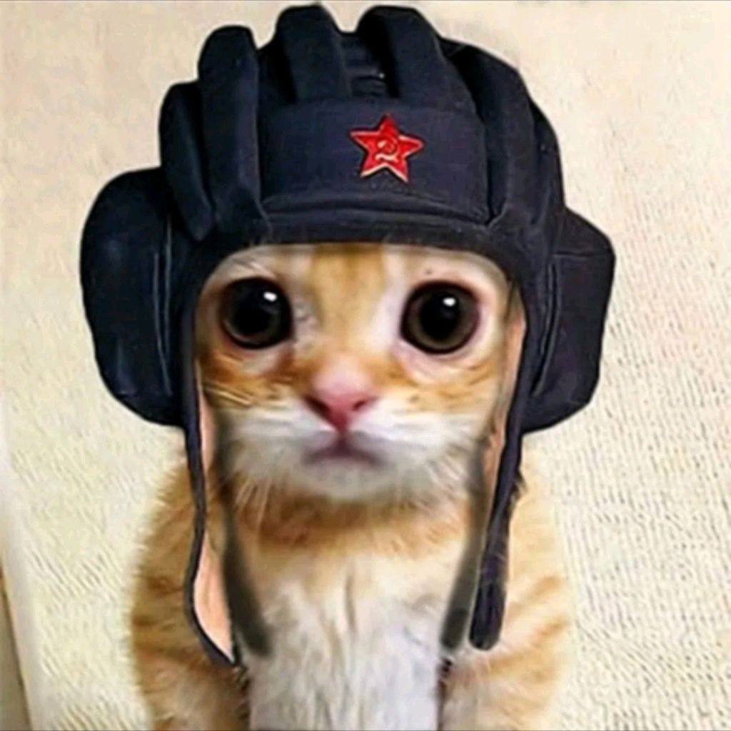 Иконка канала Кот из СССР