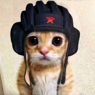 Иконка канала Кот из СССР