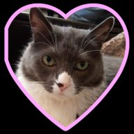 Иконка канала Кошечка_rbx