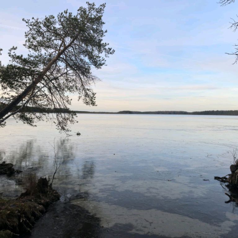 Иконка канала Охота по Кайфу