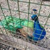 Иконка канала Южные Истории