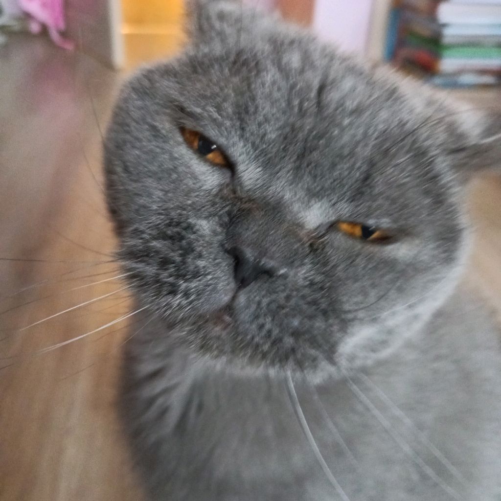 Иконка канала -Nik-