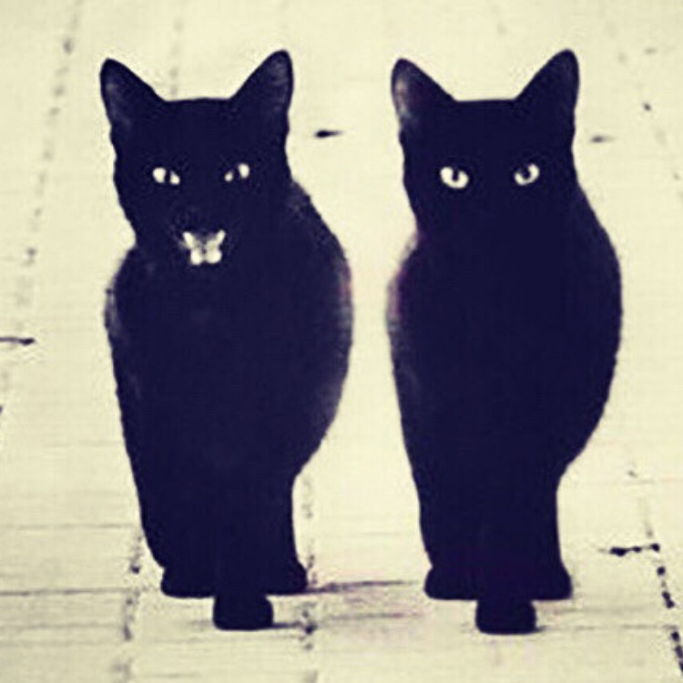 Иконка канала Импульс контента