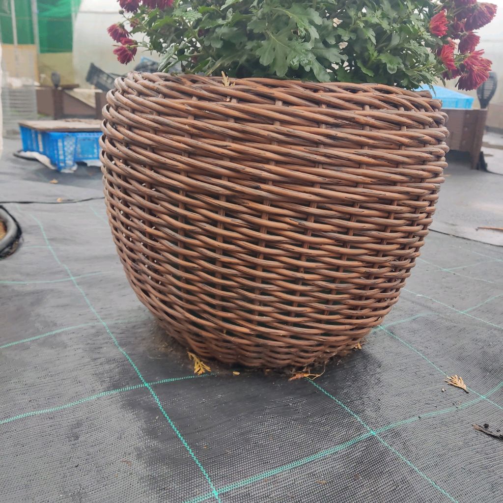 Иконка канала Rozik23