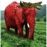 Иконка канала Стрэбэрии_элэфант