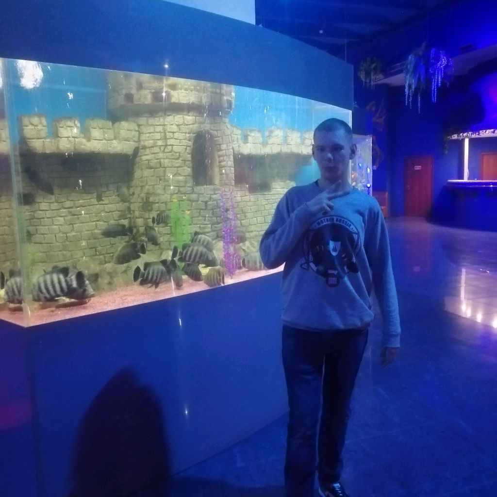 Аватар автора