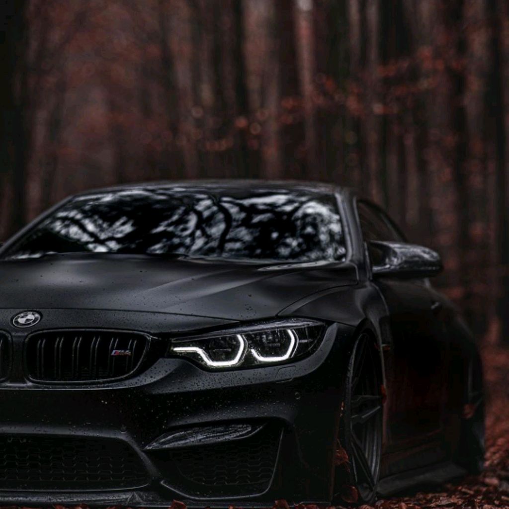 Иконка канала Alisher15556✔️