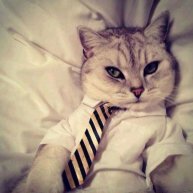 Иконка канала HE@DFoR$