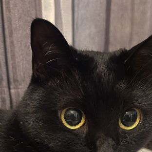 Иконка канала Пономарева Татьяна