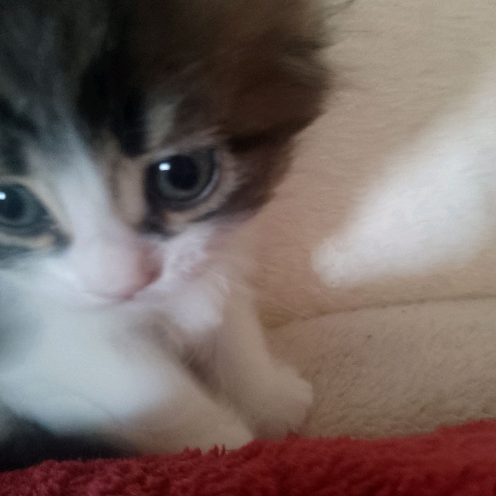 Иконка канала channel75475881