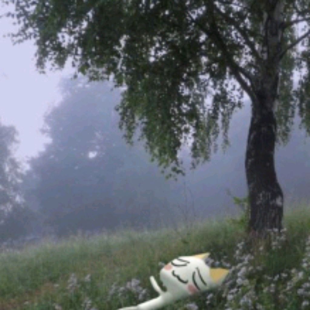 Иконка канала Torroo