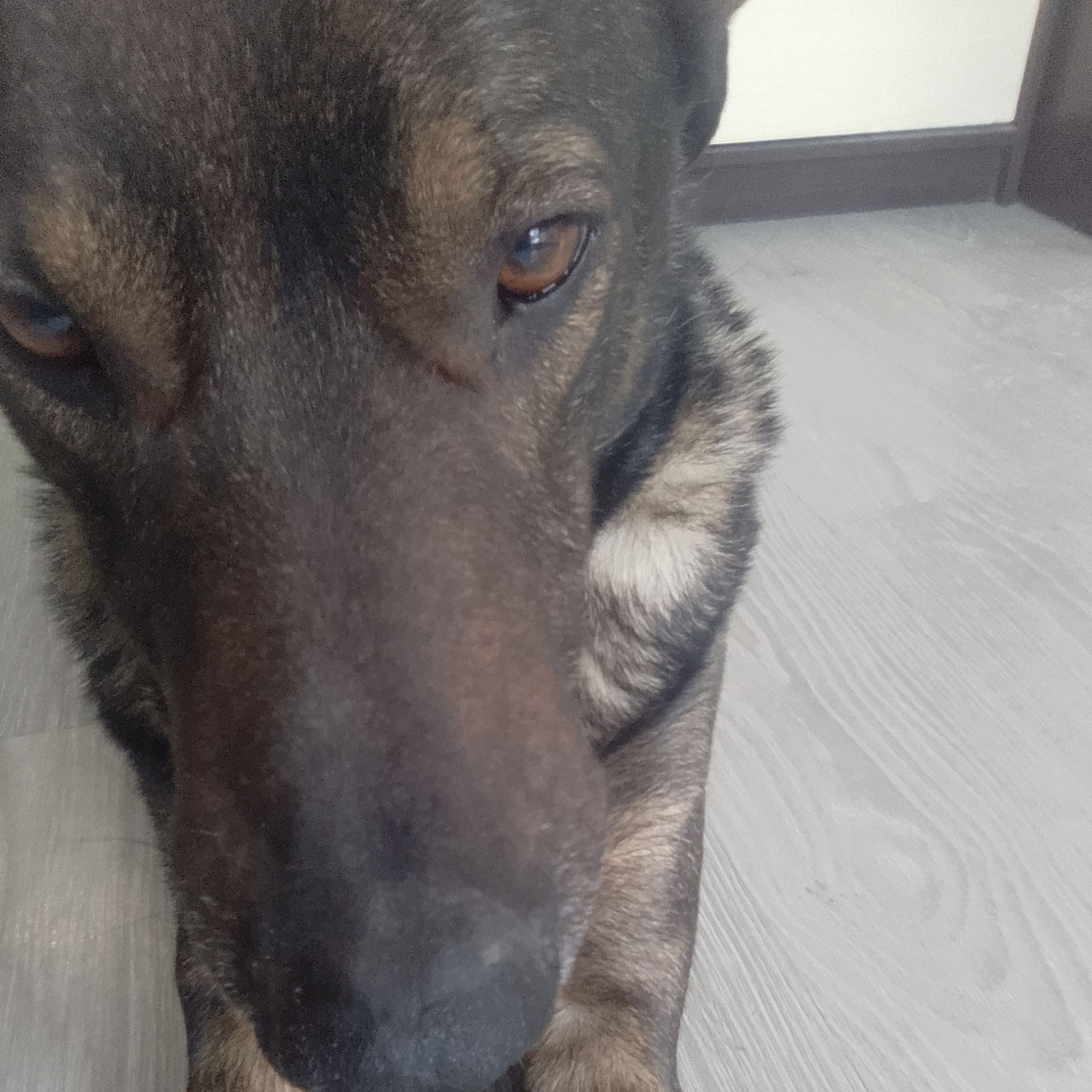 Иконка канала Алексус