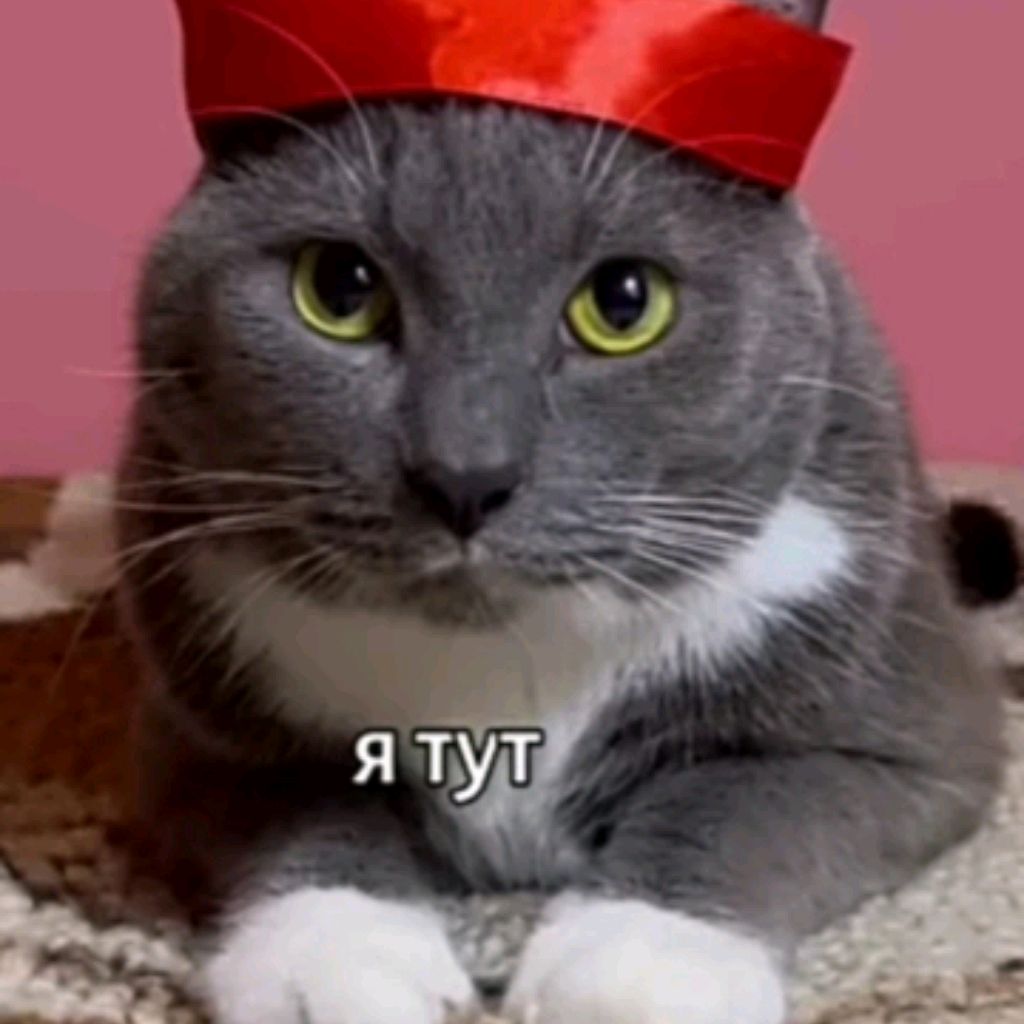 Аватар автора