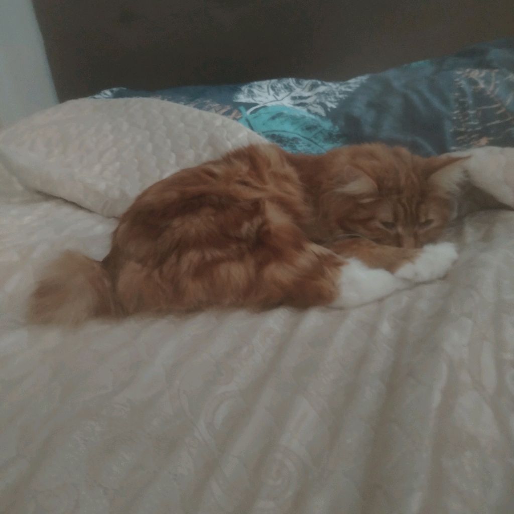 Иконка канала Коля И Алиса❤️💝👍