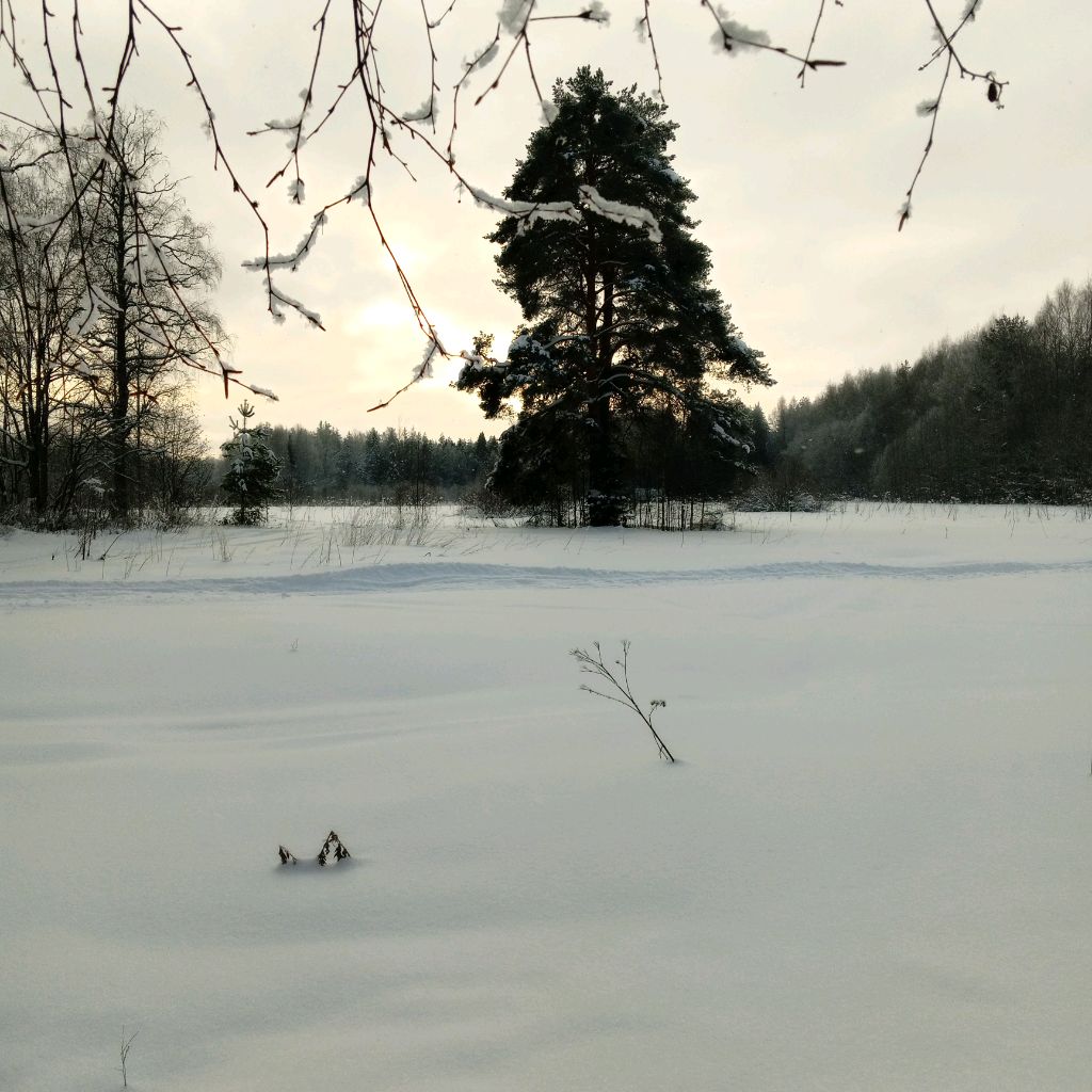 Иконка канала Выходной в деревне