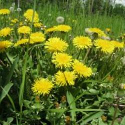 Иконка канала Музыка для релаксации и сна