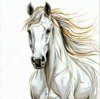 Иконка канала Серка-Снежновейная52(logovo Sneghnoveanoy13)