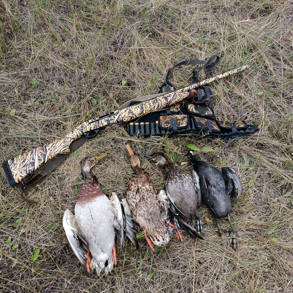 Иконка канала Nikolay54