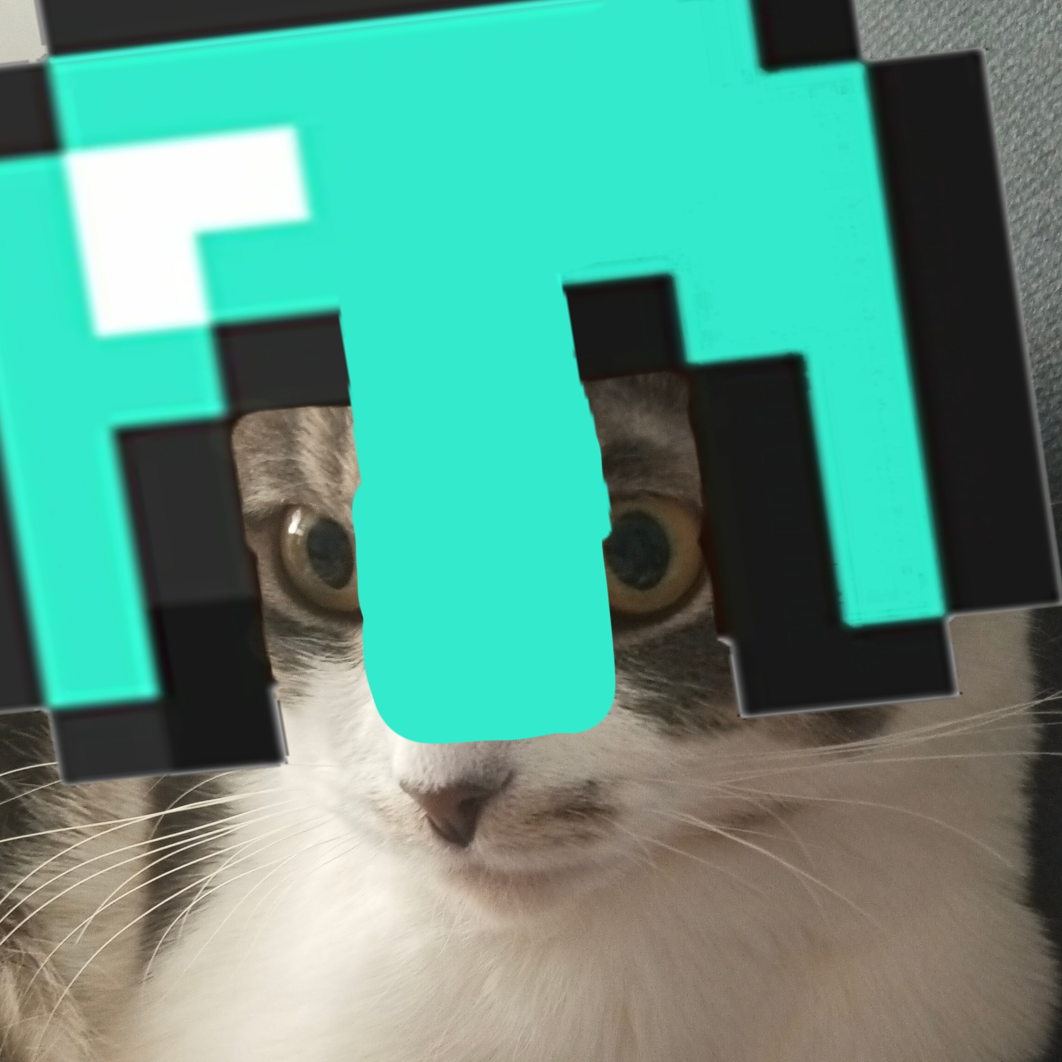 Иконка канала Diamond_Steve 2.0