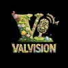 Иконка канала ValVision