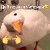 Иконка канала Гусь Обнимусь