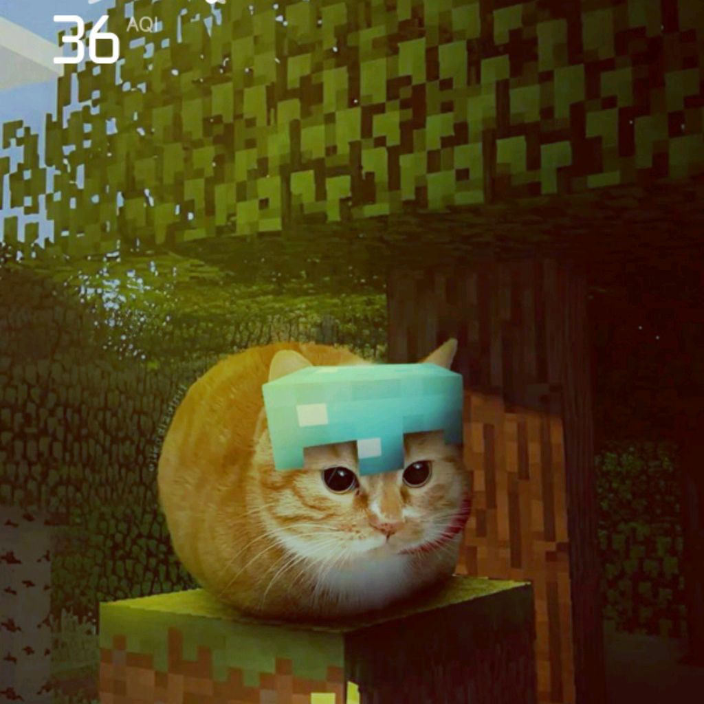 Иконка канала Дон Дон Мегаладон