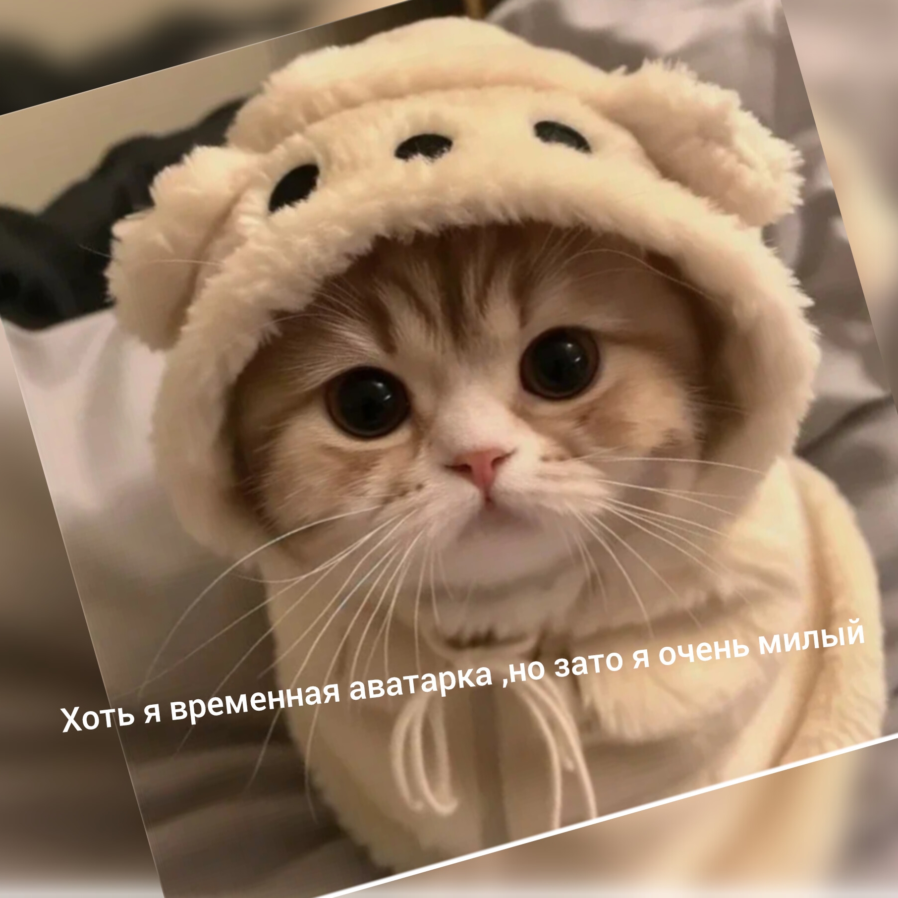 Аватар автора