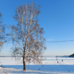 Иконка канала channel42827193