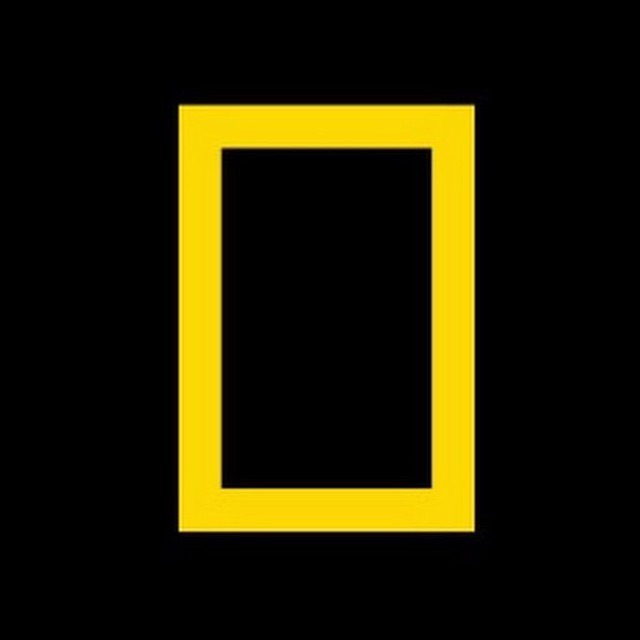 Иконка канала National Geographic